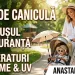 Ghid de canicula